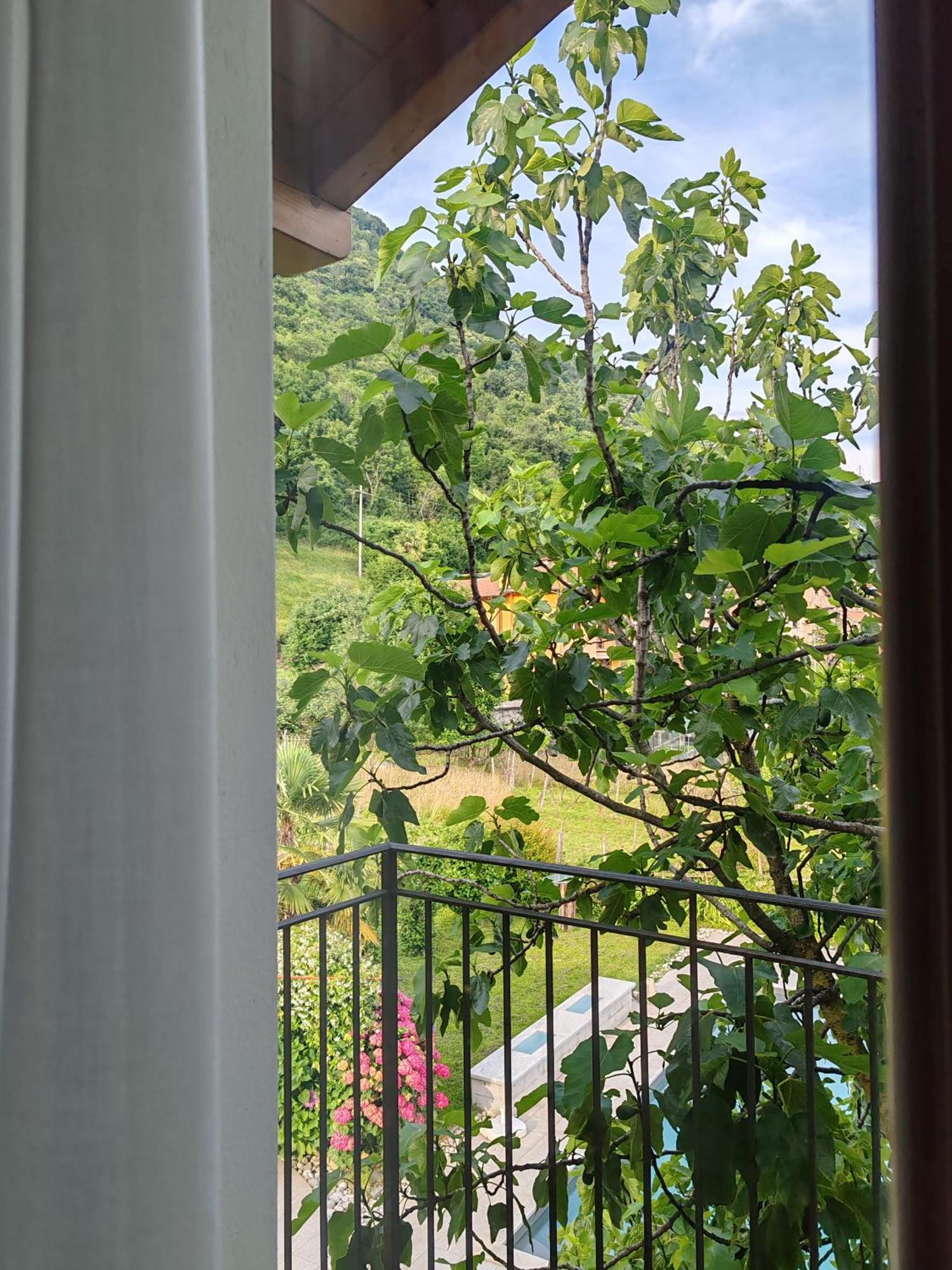 Hotel Casa Fontanera Gravedona Zewnętrze zdjęcie
